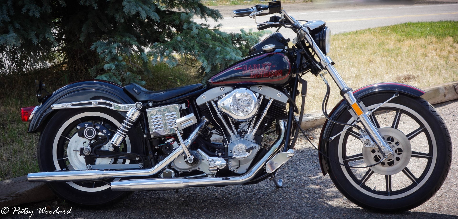 1979 FXS Low Rider