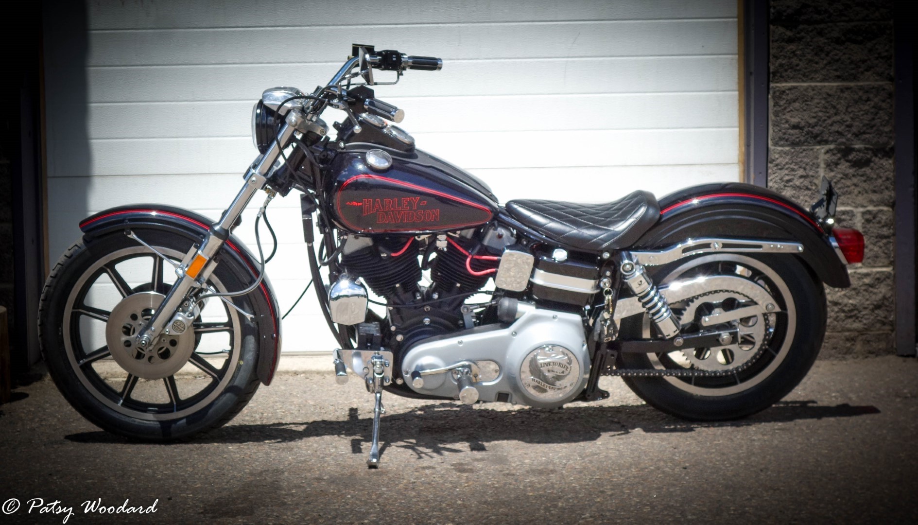 1979 FXS Low Rider